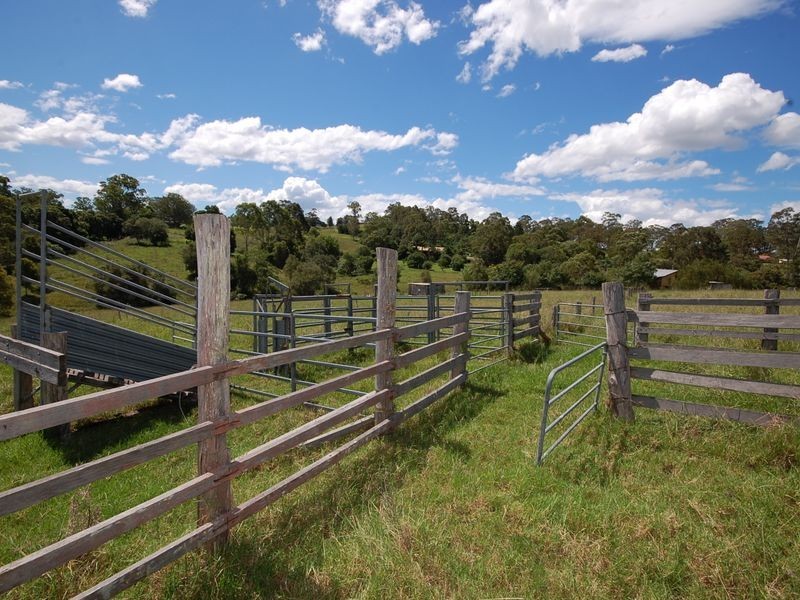 10 Phillip Close, Wingham NSW 2429