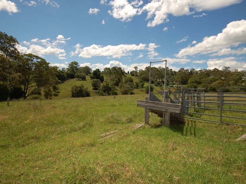 10 Phillip Close, Wingham NSW 2429