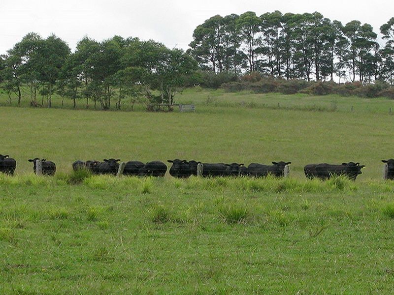 Coolongolook NSW 2423