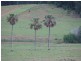 Coolongolook NSW 2423