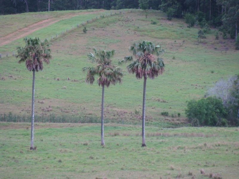Coolongolook NSW 2423