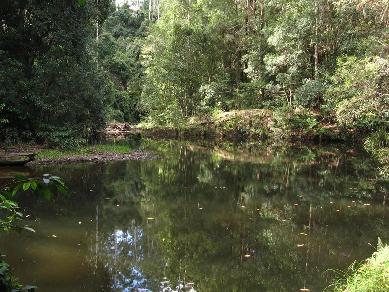 Waitui NSW 2443