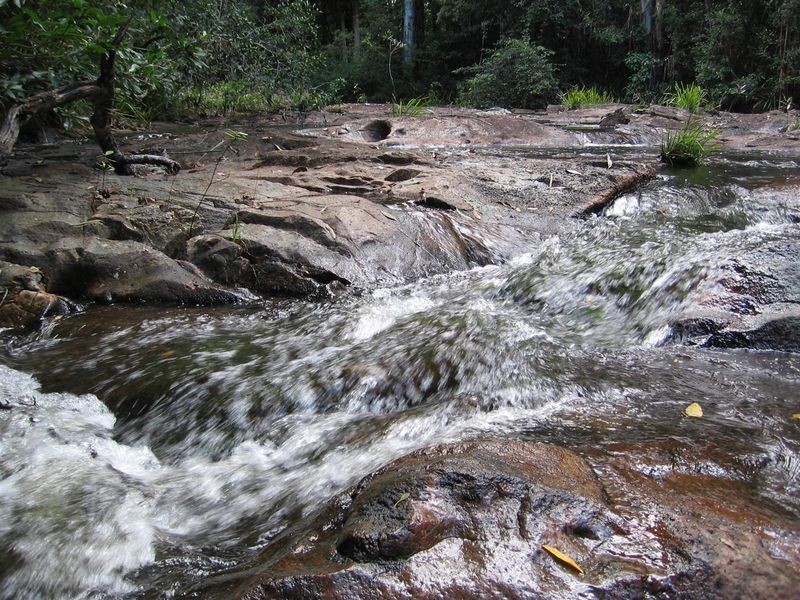 Waitui NSW 2443