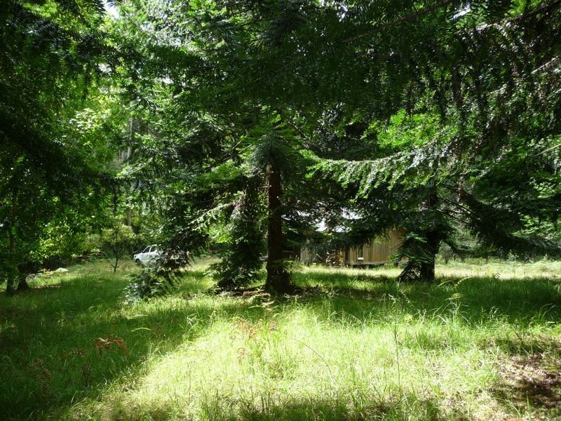 Waitui NSW 2443