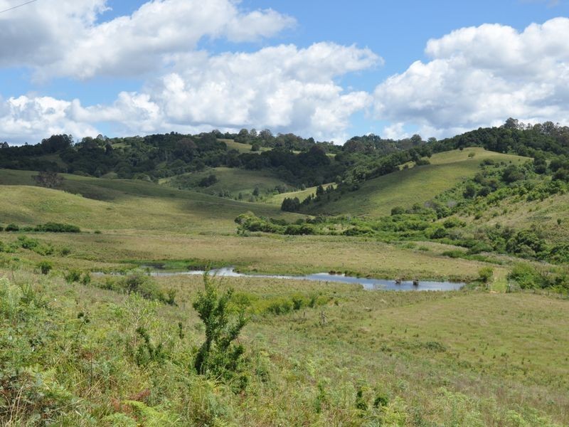 Elands NSW 2429