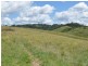 Elands NSW 2429