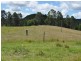 Elands NSW 2429