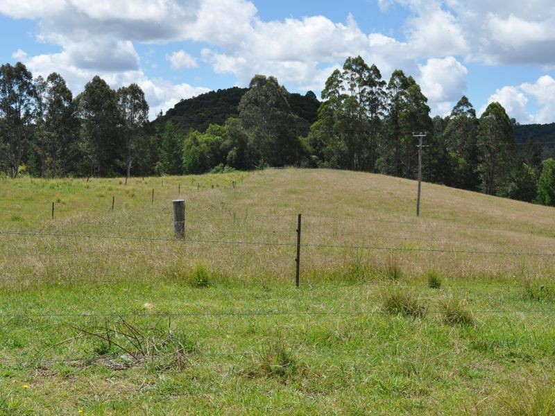 Elands NSW 2429