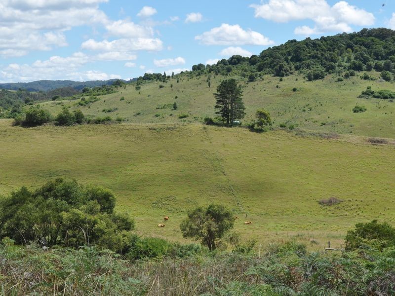 Elands NSW 2429