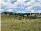 Elands NSW 2429