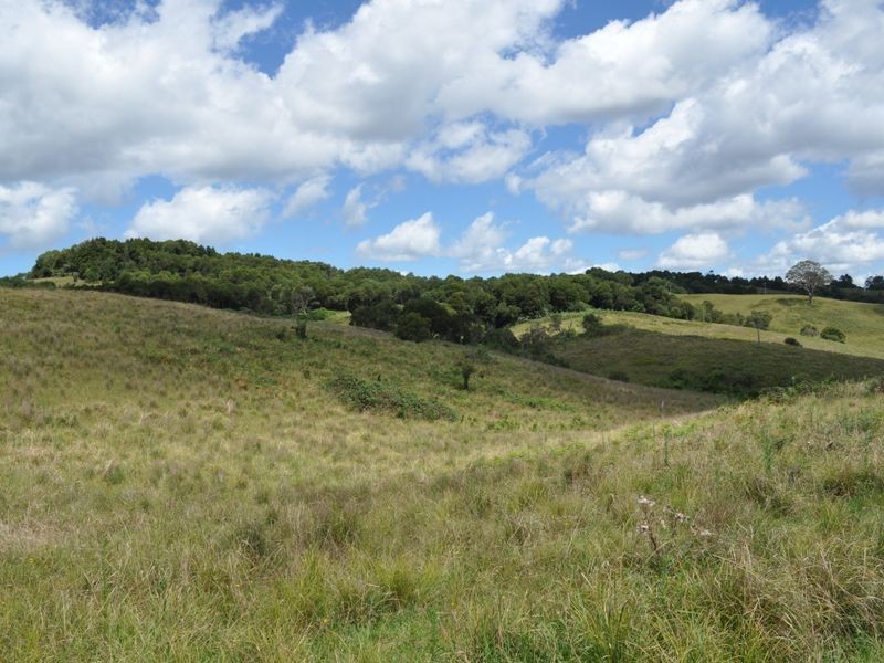 Elands NSW 2429