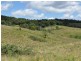 Elands NSW 2429