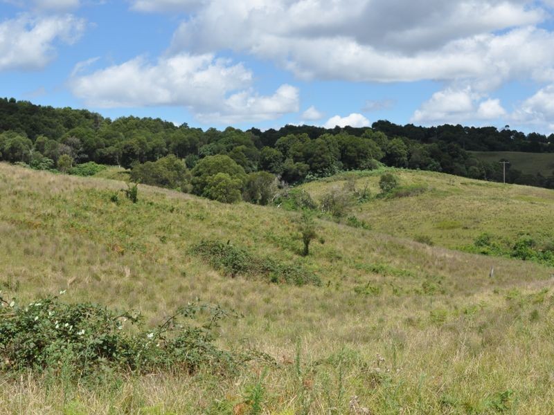 Elands NSW 2429