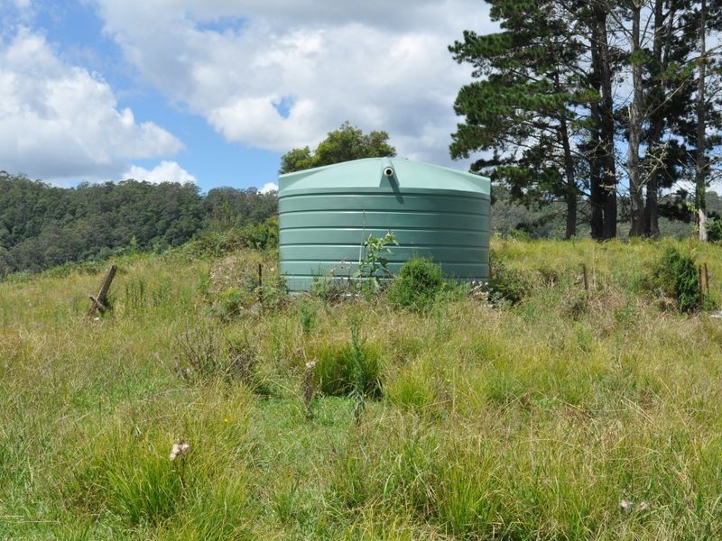 Elands NSW 2429