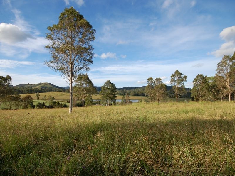 Firefly NSW 2429