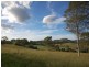 Firefly NSW 2429