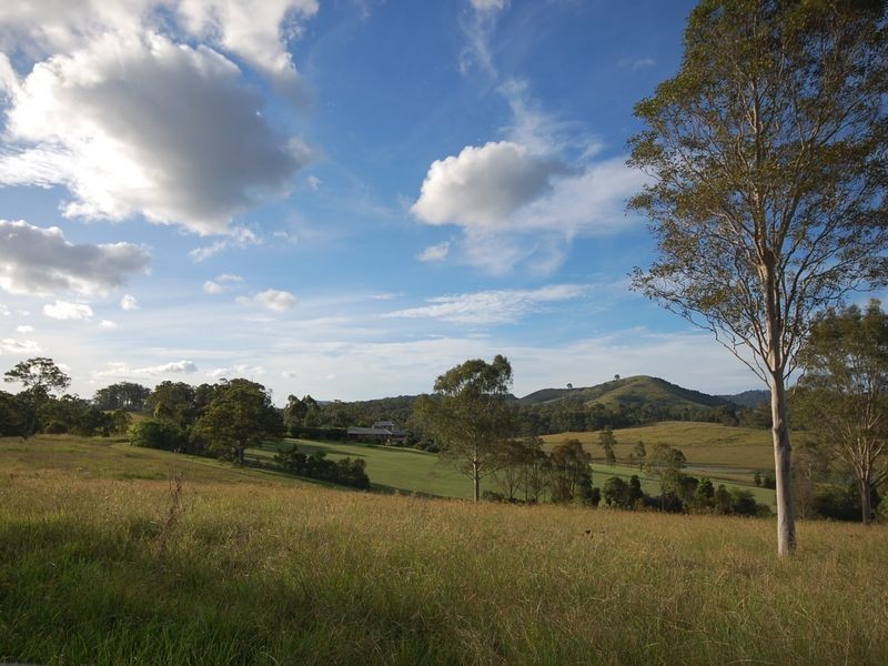 Firefly NSW 2429