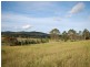 Firefly NSW 2429