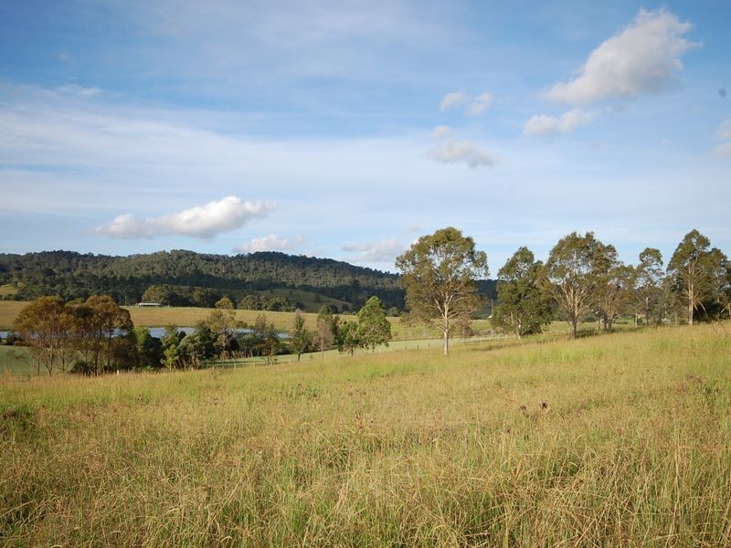 Firefly NSW 2429