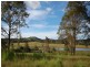 Firefly NSW 2429