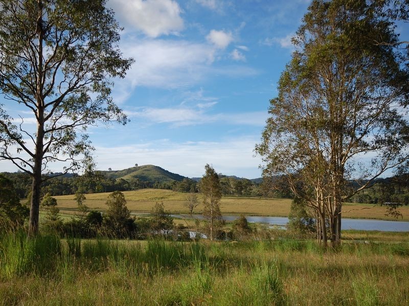 Firefly NSW 2429