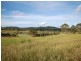Firefly NSW 2429