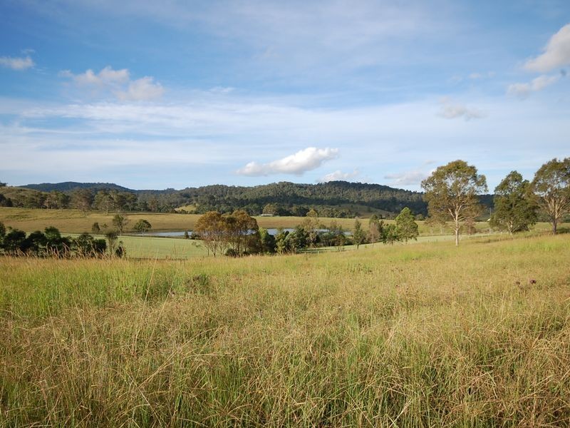Firefly NSW 2429