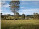Firefly NSW 2429
