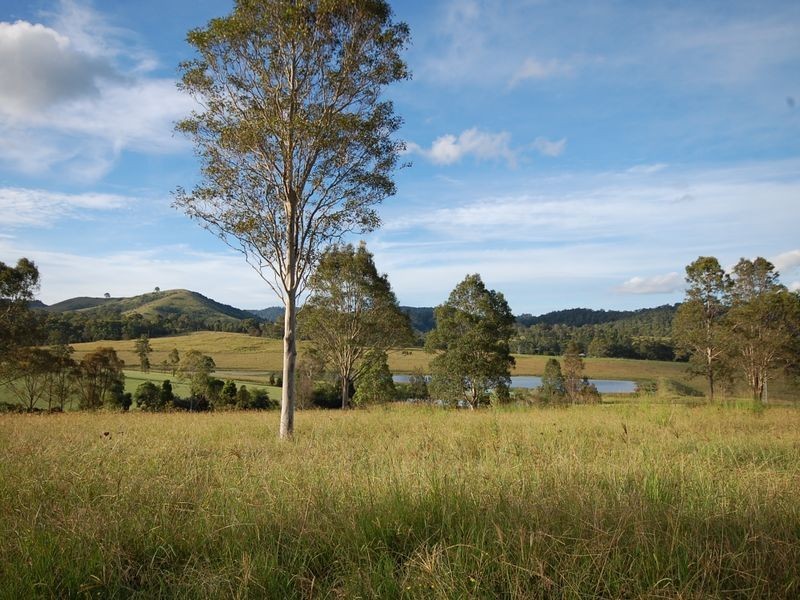 Firefly NSW 2429