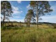 Firefly NSW 2429