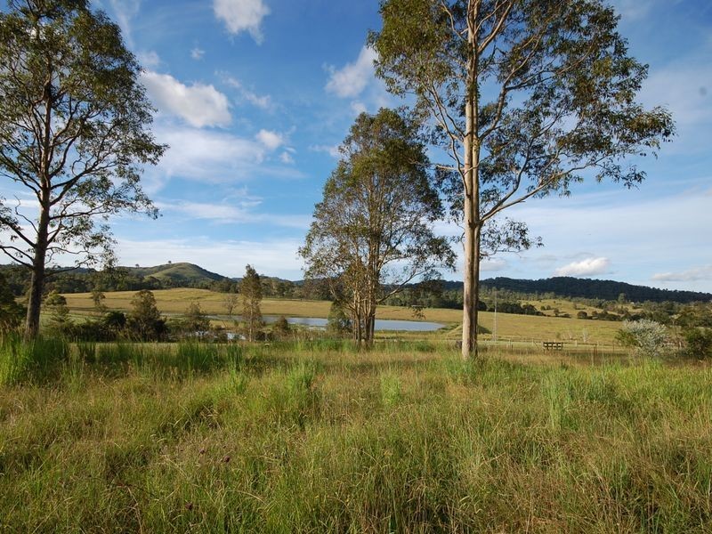 Firefly NSW 2429