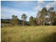 Firefly NSW 2429