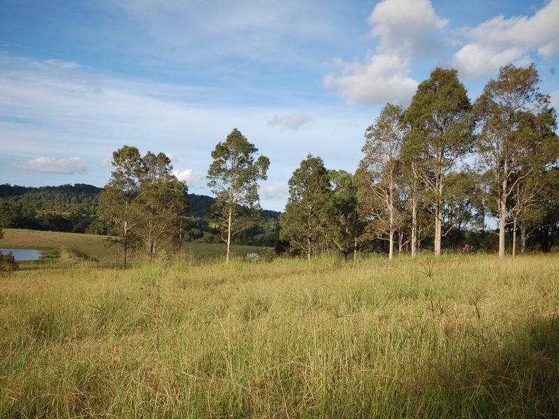 Firefly NSW 2429