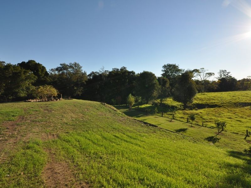 8A Summerland Place, Wingham NSW 2429