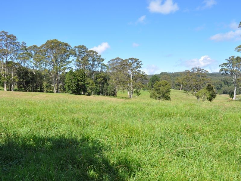Elands NSW 2429