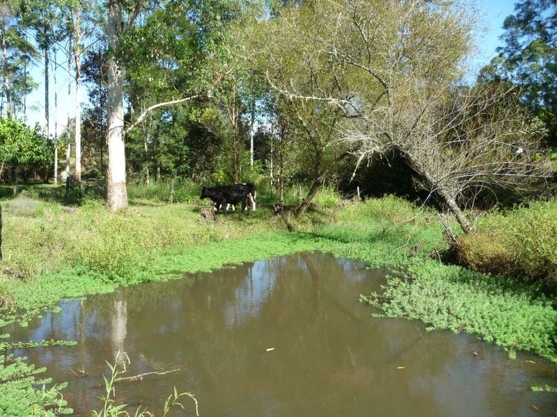 Hannam Vale NSW 2443