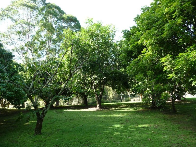 Hannam Vale NSW 2443