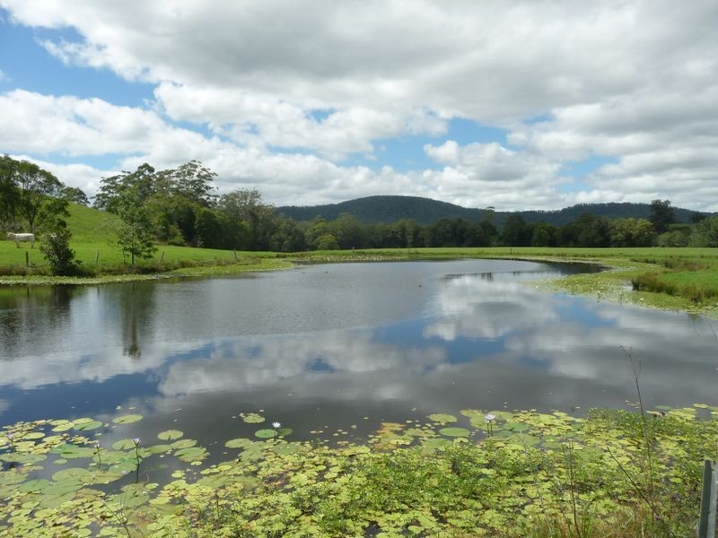 Hannam Vale NSW 2443