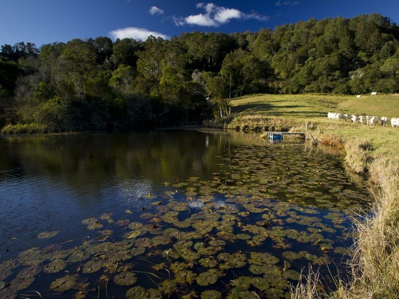 Hannam Vale NSW 2443