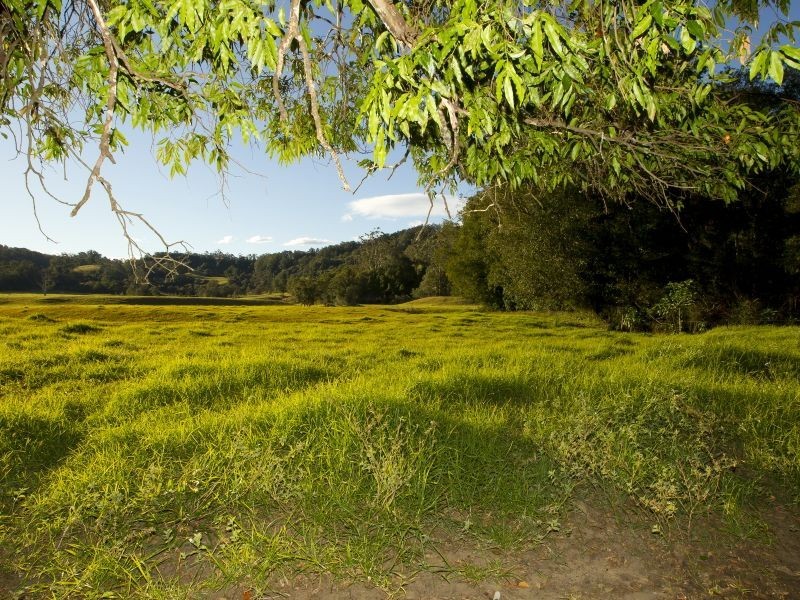Hannam Vale NSW 2443