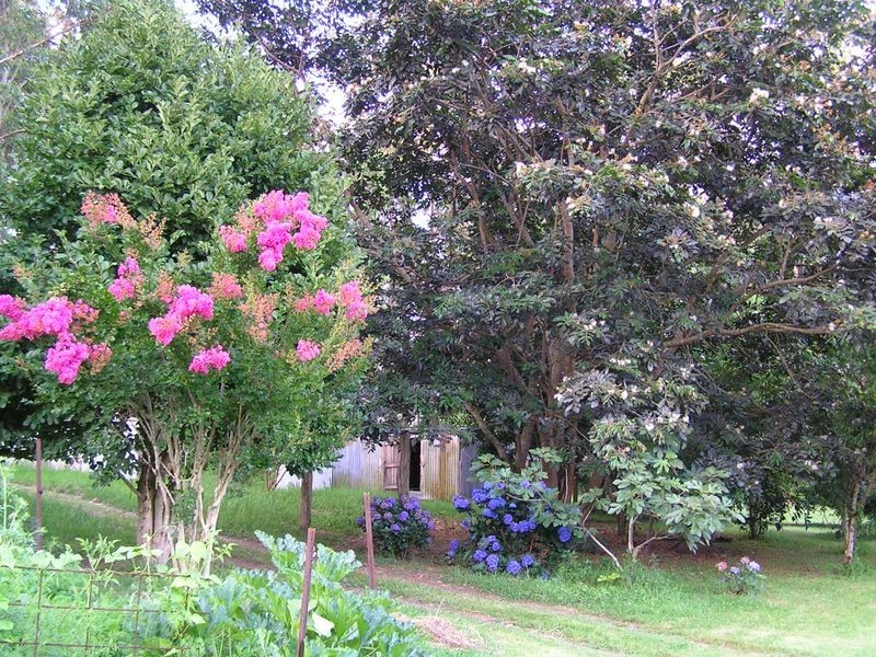 Hannam Vale NSW 2443