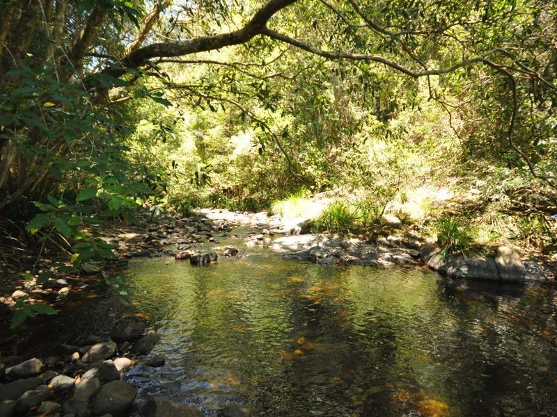 648 Kippax Road, Wingham NSW 2429