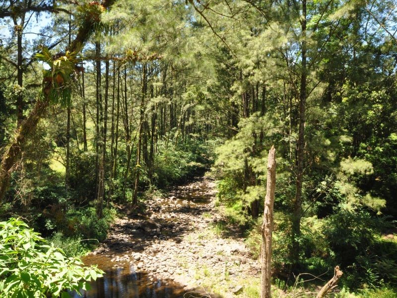 648 Kippax Road, Wingham NSW 2429