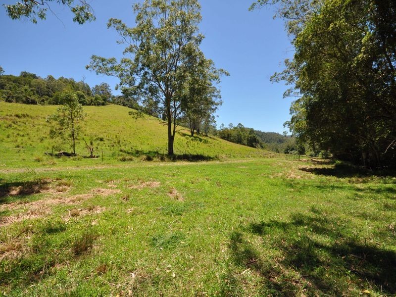 648 Kippax Road, Wingham NSW 2429