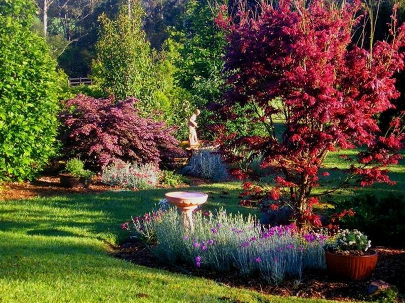 Hannam Vale NSW 2443