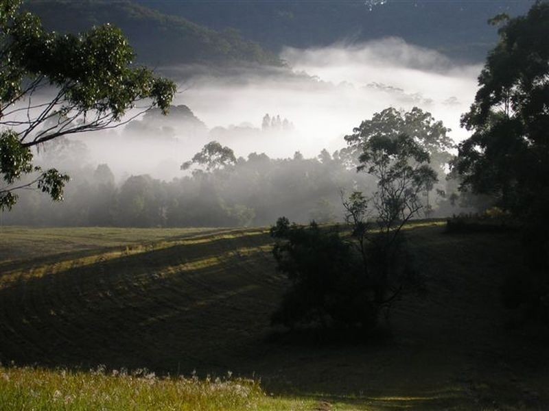 Hannam Vale NSW 2443