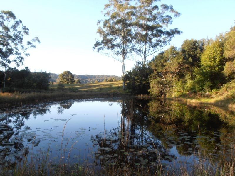 Hannam Vale NSW 2443