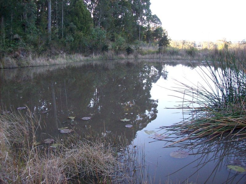 Coolongolook NSW 2423