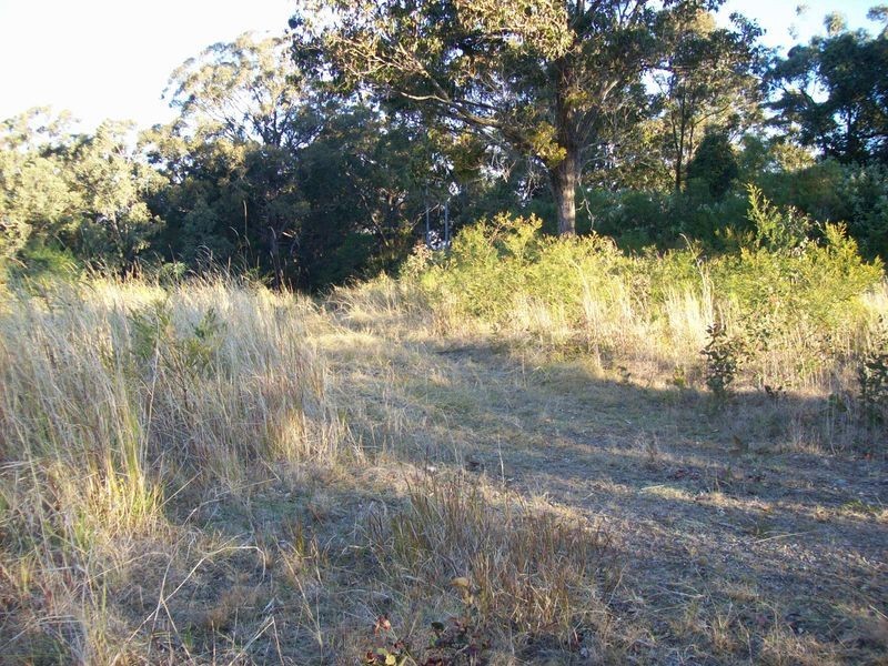 Coolongolook NSW 2423