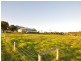 Moorland NSW 2443